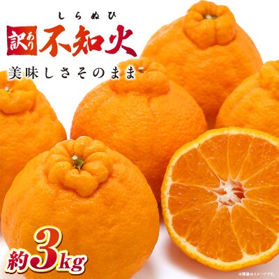 【先行受付2027年】訳あり不知火　約3kg