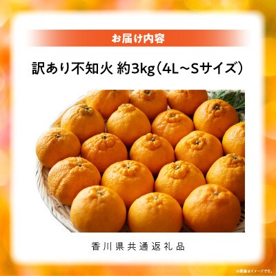 【先行受付2027年】訳あり不知火　約3kg
