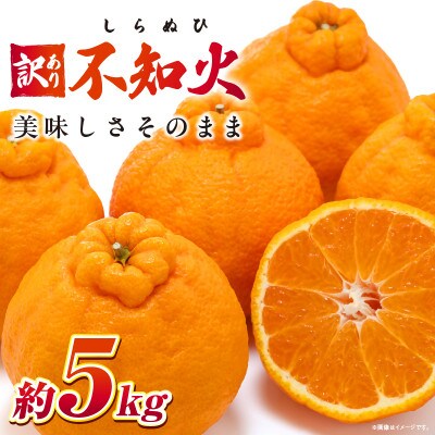 【先行受付2027年】訳あり不知火　約5kg