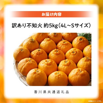 【先行受付2027年】訳あり不知火　約5kg