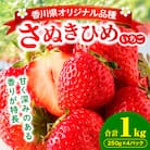 三木町地域いちご部会「さぬきひめ」1kgパック