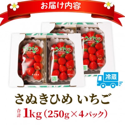 三木町地域いちご部会「さぬきひめ」1kgパック