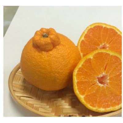 デコポン　約3kg