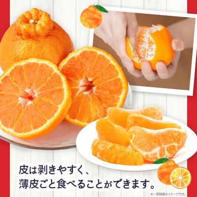 デコポン　約3kg