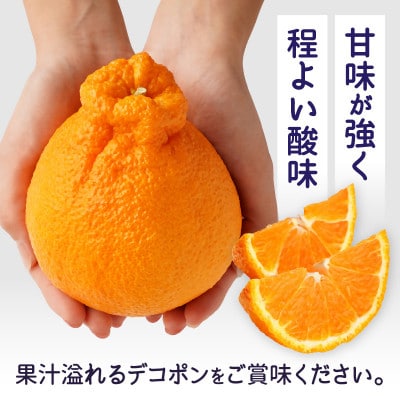 デコポン　約3kg