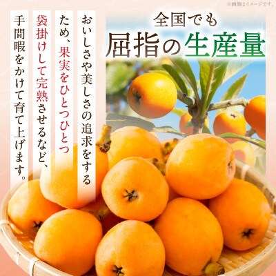 びわ(なつたより)　約1kg