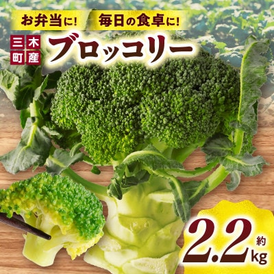 三木町産ブロッコリー　約2.2kg