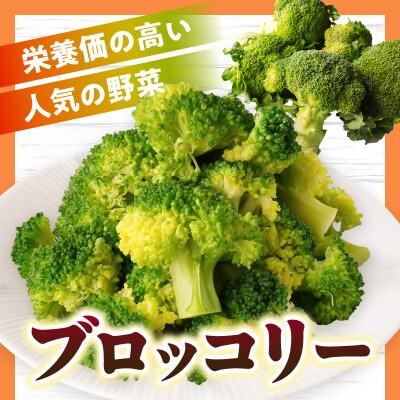 三木町産ブロッコリー　約2.2kg