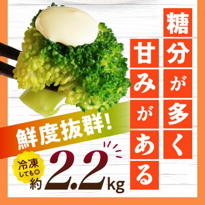 三木町産ブロッコリー　約2.2kg
