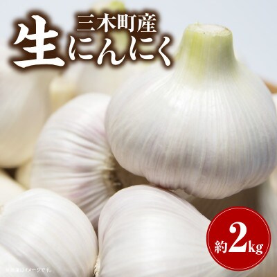 三木町産　生にんにく　2kg