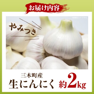 三木町産　生にんにく　2kg