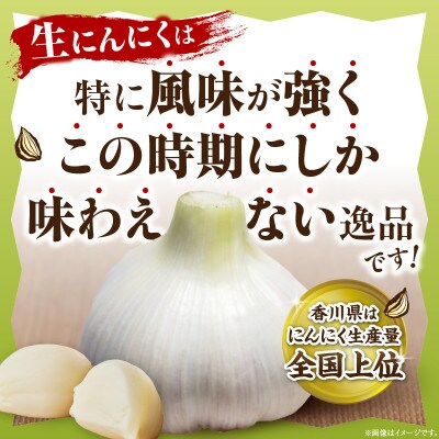 三木町産　生にんにく　2kg