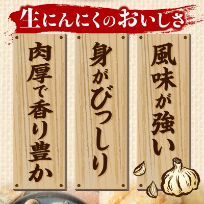 三木町産　生にんにく　2kg