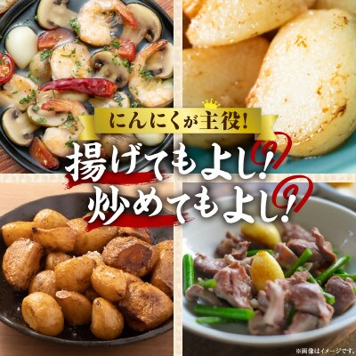 三木町産　訳あり乾燥にんにく　2.8kg