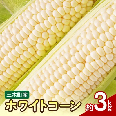 三木町産　ホワイトコーン　約3kg