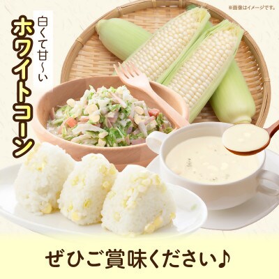 三木町産　ホワイトコーン　約3kg
