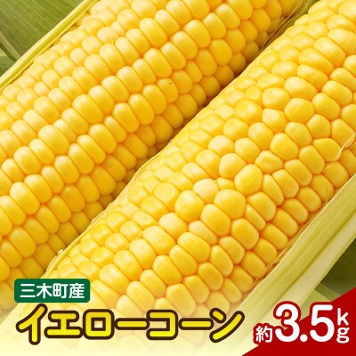 三木町産　イエローコーン　約3.5kg