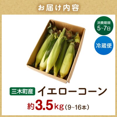 三木町産　イエローコーン　約3.5kg