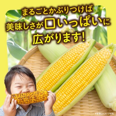 三木町産　ホワイト&イエローコーン詰合せ　約4kg