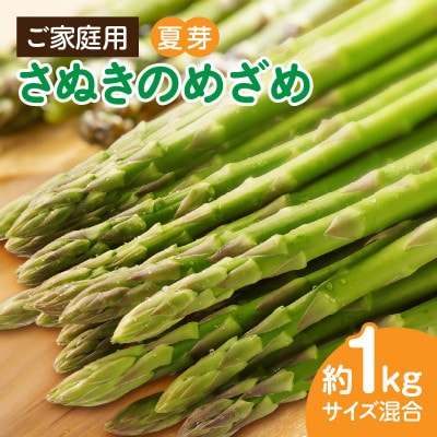 ご家庭用アスパラガス「さぬきのめざめ」(セミロング)夏芽1kg