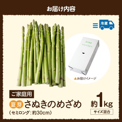 ご家庭用アスパラガス「さぬきのめざめ」(セミロング)夏芽1kg