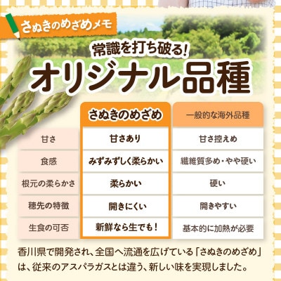 ご家庭用アスパラガス「さぬきのめざめ」(セミロング)夏芽1kg