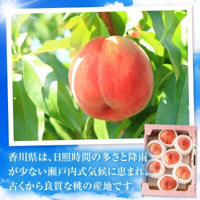 さぬきの桃　約1.8kg