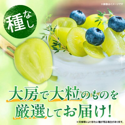 シャインマスカット　大1房