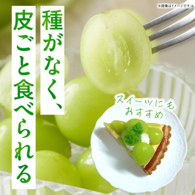 シャインマスカット　約1.2kg