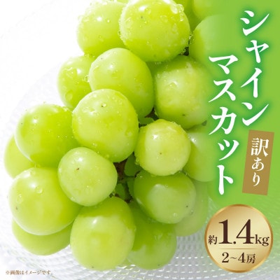 訳ありシャインマスカット　約1.4kg