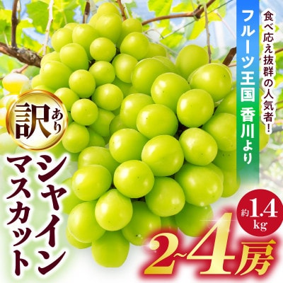 訳ありシャインマスカット　約1.4kg