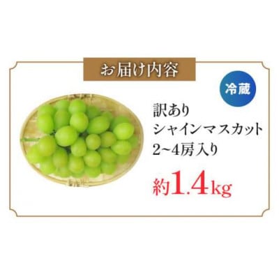 訳ありシャインマスカット　約1.4kg