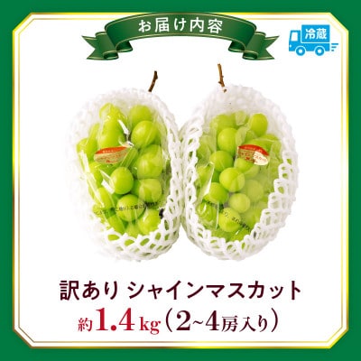 訳ありシャインマスカット　約1.4kg