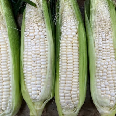 ご家庭用細物ホワイトコーン　約3.5kg