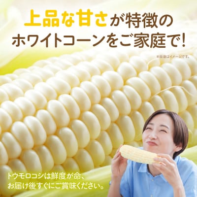 ご家庭用細物ホワイトコーン　約3.5kg