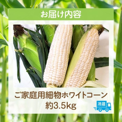 ご家庭用細物ホワイトコーン　約3.5kg