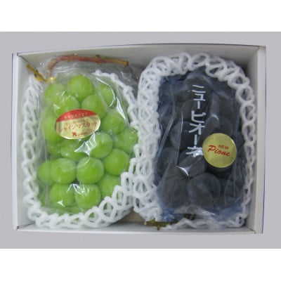 人気の2品種　シャインマスカット+ピオーネ食べ比べセット　約1.2kg(各1房)
