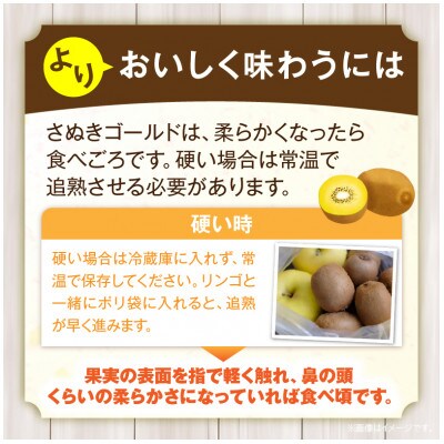 ご家庭用さぬきゴールドキウイ　約1kg