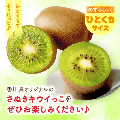 小さくて可愛らしいキウイ　さぬきキウイっこ　約800g