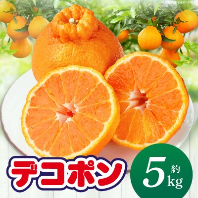 【先行受付2027年】【期間限定!】甘みと酸味の共演・濃厚「デコポン」　約5kg
