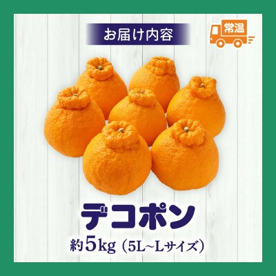 【先行受付2027年】【期間限定!】甘みと酸味の共演・濃厚「デコポン」　約5kg