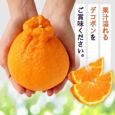 【先行受付2027年】【期間限定!】甘みと酸味の共演・濃厚「デコポン」　約5kg