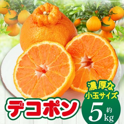 【先行受付2027年】【期間限定!】甘みと酸味の共演・濃厚「デコポン」(濃厚な小玉サイズ)　約5kg
