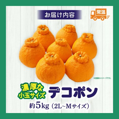 【先行受付2027年】【期間限定!】甘みと酸味の共演・濃厚「デコポン」(濃厚な小玉サイズ)　約5kg