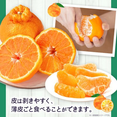 【先行受付2027年】【期間限定!】甘みと酸味の共演・濃厚「デコポン」(濃厚な小玉サイズ)　約5kg