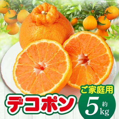 【先行受付2027年】【期間限定!】甘みと酸味の共演・濃厚「デコポン」(ご家庭用)　約5kg