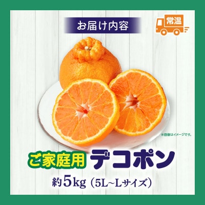 【先行受付2027年】【期間限定!】甘みと酸味の共演・濃厚「デコポン」(ご家庭用)　約5kg