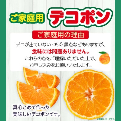 【先行受付2027年】【期間限定!】甘みと酸味の共演・濃厚「デコポン」(ご家庭用)　約5kg
