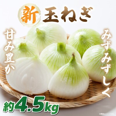 【2026年3月~5月発送】この時期にしか味わえない、みずみずしく甘み豊かな「新玉ねぎ」約4.5kg