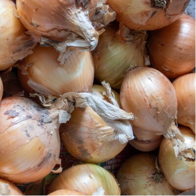 訳ありそのまんま玉ねぎ　約3kg